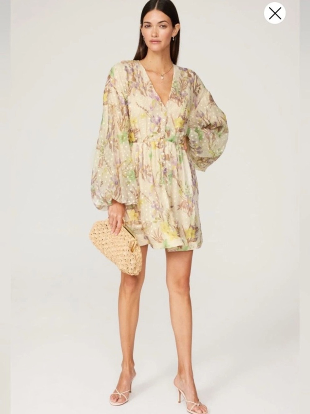 ALEXIS Behati Embroidered Organza Blouson-Sleeve Mini Dress Sz Medium